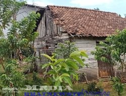 Potret Kemiskinan Selimut Warga Kelurahan Kelapa 7 Kotabumi Selatan Lampung Utara