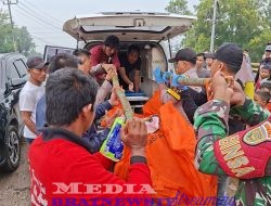 Sopir Travel Asal Lampung Utara Ditemukan Tewas