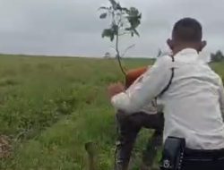 HISTORI KEKEJAMAN MAFIA TANAH LIBATKAN SECURITY PT GMP : TERHADAP SHM NO 721