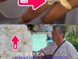 Idham Chalid KMB – KLB – Akibat MBG Pelaku Usaha Rasanya Wajib Dipidanakan