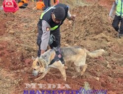 Pencarian Korban Longsor Di Cilacap Polri Terjunkan Anjig Pelacak