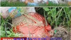 Sampah Menggunung dan Sudah Menimbulkan Aroma Tak Sedap Dipasar Simpang Propau Pedagang Keluhkan Besaran Retribusi