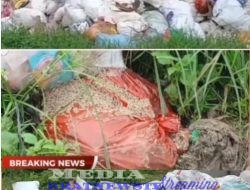 Sampah Menggunung dan Sudah Menimbulkan Aroma Tak Sedap Dipasar Simpang Propau Pedagang Keluhkan Besaran Retribusi