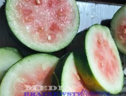 Ribuan Siswa di Sungkai Jaya Terima Paket MBG: Semangka Busuk!