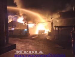 Pabrik PT Budi Nabati Perkasa Di Amuk Si Jago Merah