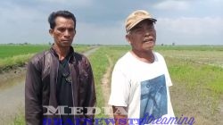 SENGKETA GADAI SAWAH BERUBAH JADI KASUS PIDANA? HOLIL DITUDUH PENIPUAN, HAND TRAKTOR DISITA POLISI