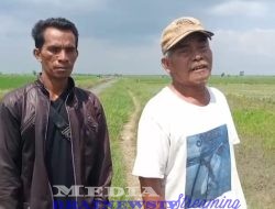 SENGKETA GADAI SAWAH BERUBAH JADI KASUS PIDANA? HOLIL DITUDUH PENIPUAN, HAND TRAKTOR DISITA POLISI