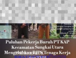 SKANDAL PT KAP LAMPUNG UTARA: PEKERJA HARIAN LEPAS DIBIARKAN TANPA BPJS TENAGA KERJA DAN THR! DOKUMEN BOCOR : MENGUNGKAP DUGAAN PELANGGARAN SISTEMATIS JELANG LEBARAN 2026