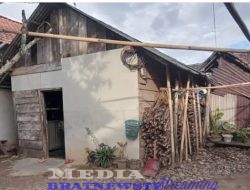 Pesawaran : Suryati Lansia Tunawicara :  Di Rumah Atap Bocor!