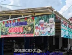 TERKUAK SKANDAL PUPUK SUBSIDI DI DENTE TELADAS BERTAHUN-TAHUN: KIOS SABILI JUAL DI ATAS HET!