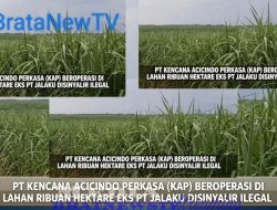 Konflik Agraria Eks HGU PT JALAKU : Aset Di Rampas – Pemda dan APH : Lampung Utara Tidur!