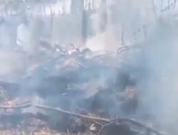 Kebakaran Lahan Renggut Nyawa Satu Warga. 
